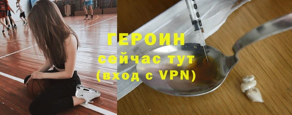 гидра Щигры