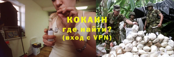 мет Бородино